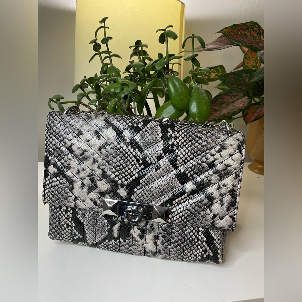 Faux Snake Skin - Aldo Crossbody Purse